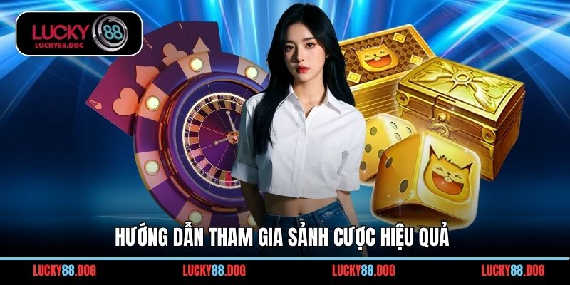 Hướng dẫn tham gia sảnh cược hiệu quả